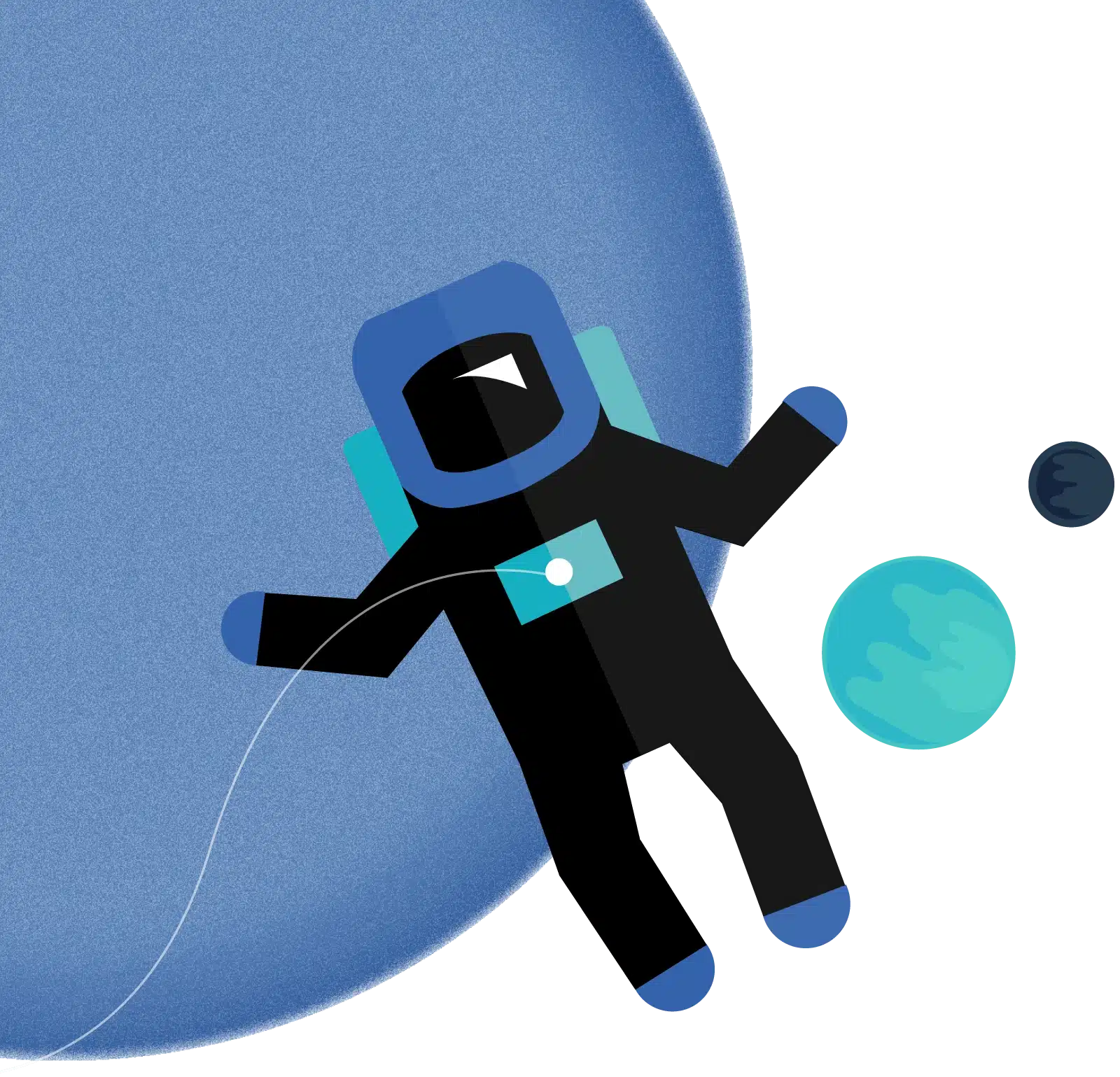 Director Identity Verification Service